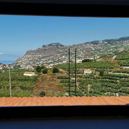Villa Nova Madeira In Funchal Casa A And B Стая снимка