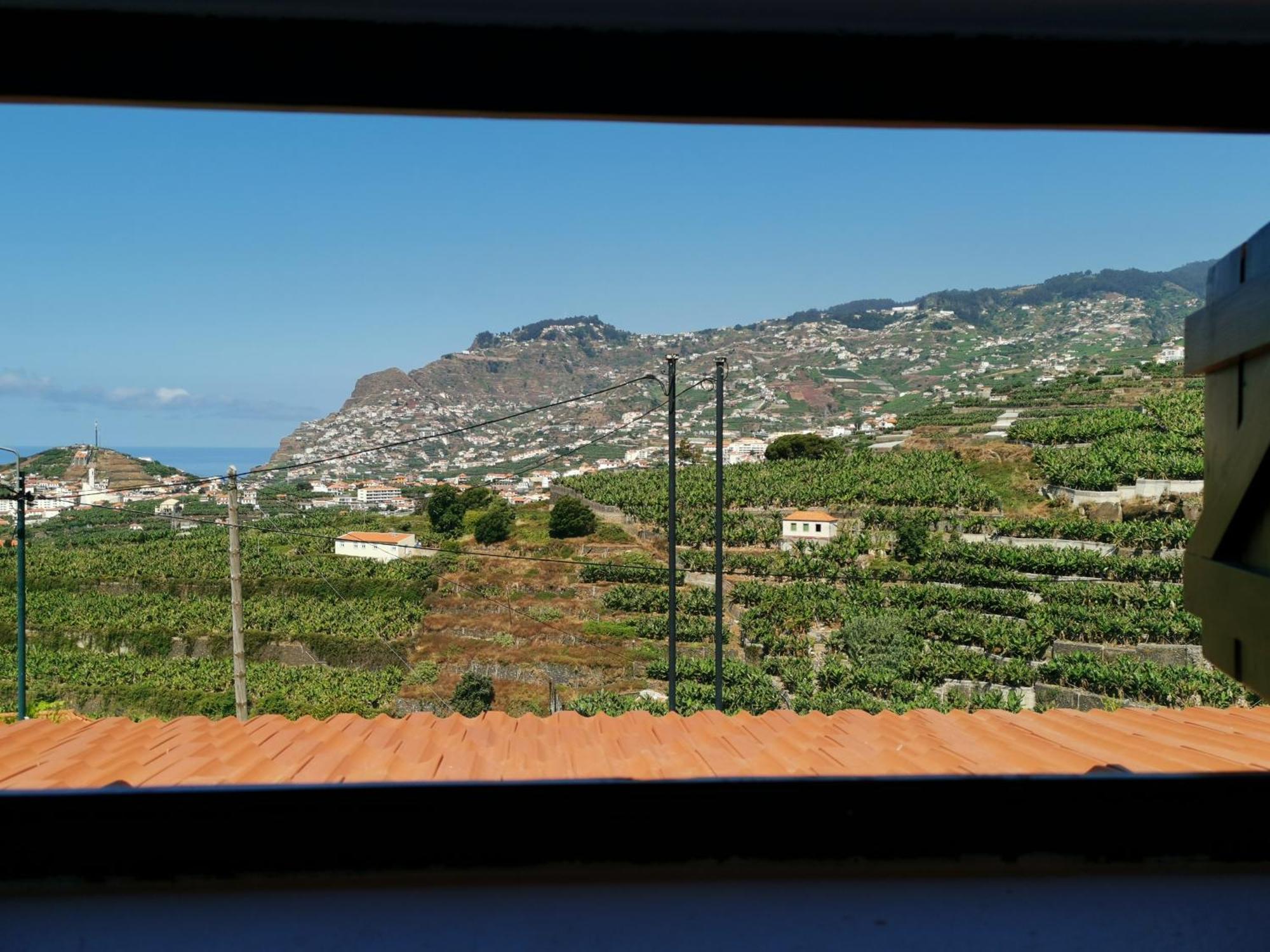 Villa Nova Madeira In Funchal Casa A And B Стая снимка